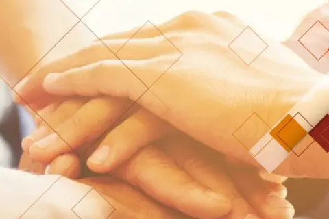 Siti web accessibili salerno