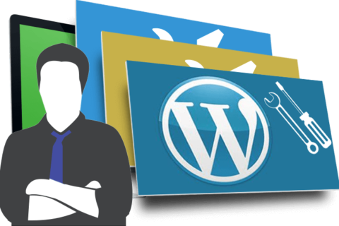 consulente wordpress