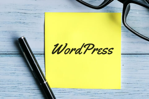 esperto wordpress