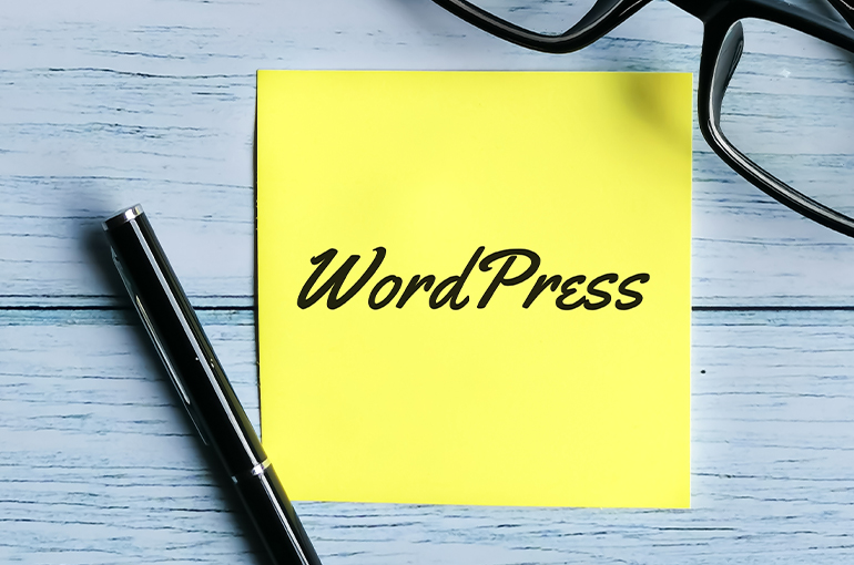 esperto wordpress