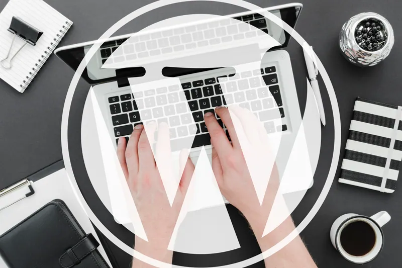 Programmatore wordPress